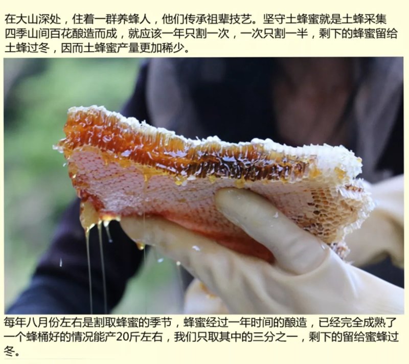 陕西土蜂蜜散货瓶装2斤起批包邮