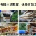 陕西土蜂蜜散货瓶装2斤起批包邮