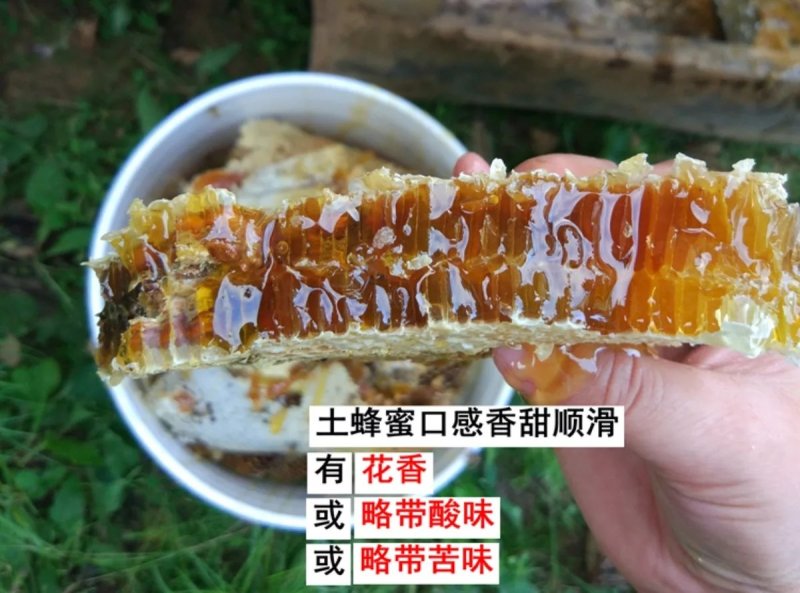 陕西土蜂蜜散货瓶装2斤起批包邮