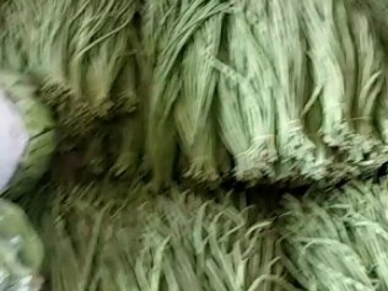 有需要的娄底请与我联系