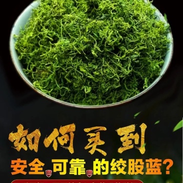 绞股蓝散货包装50斤起批包邮