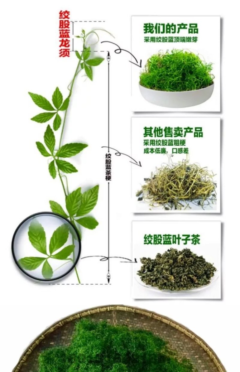绞股蓝散货包装50斤起批包邮
