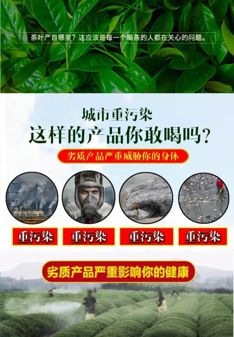 绞股蓝散货包装50斤起批包邮