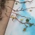 巨峰葡萄苗占地葡萄树
