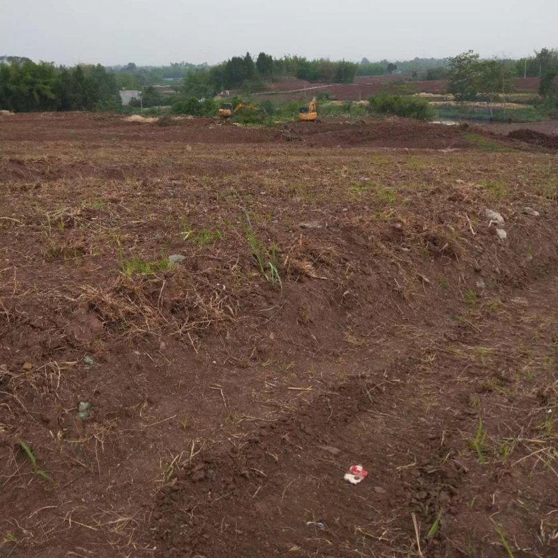 农业用地出租
