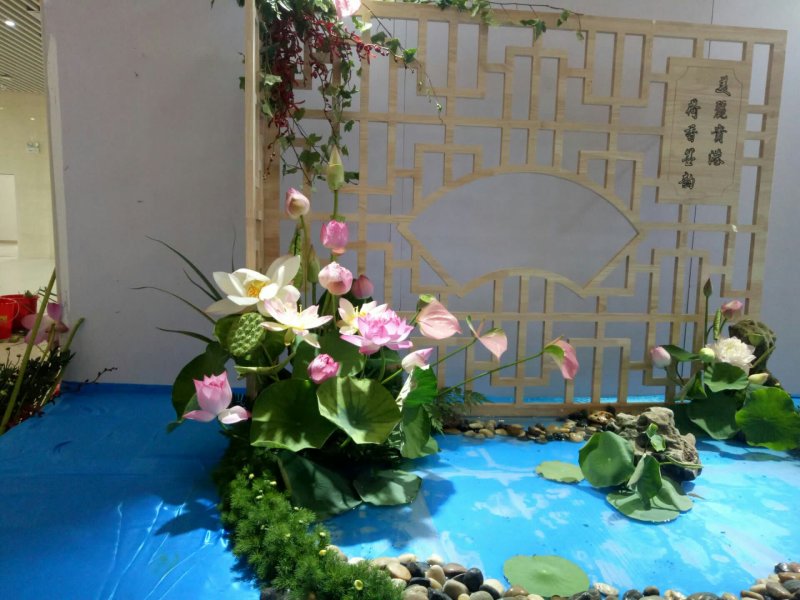 太空莲种苗，荷花种苗，莲子种苗，香水莲种苗