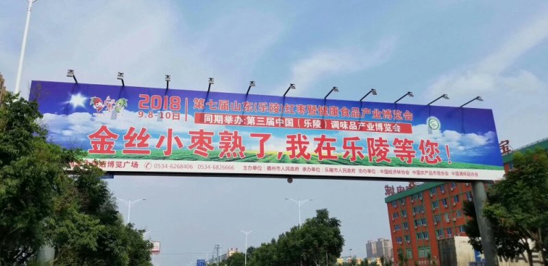 乐陵酒枣醉枣散货一箱30斤