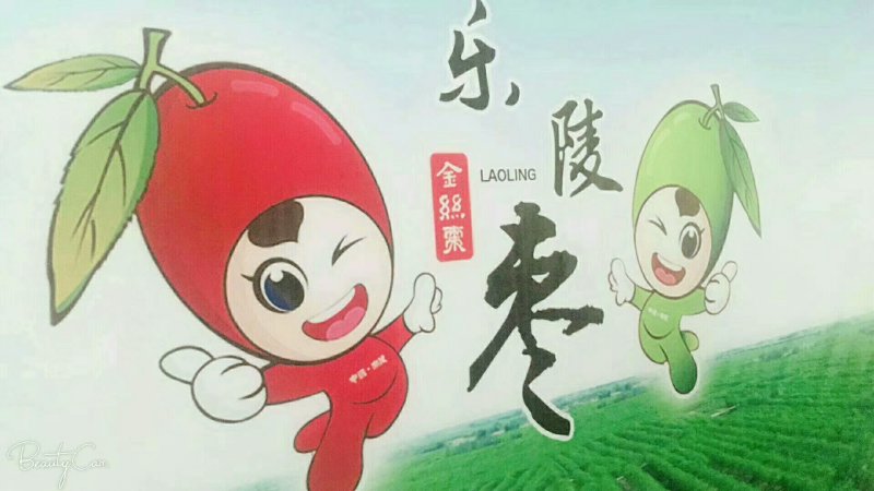 脆冬枣以质论价量大优惠