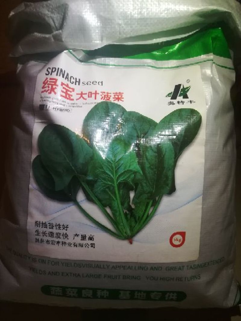 波菜籽
