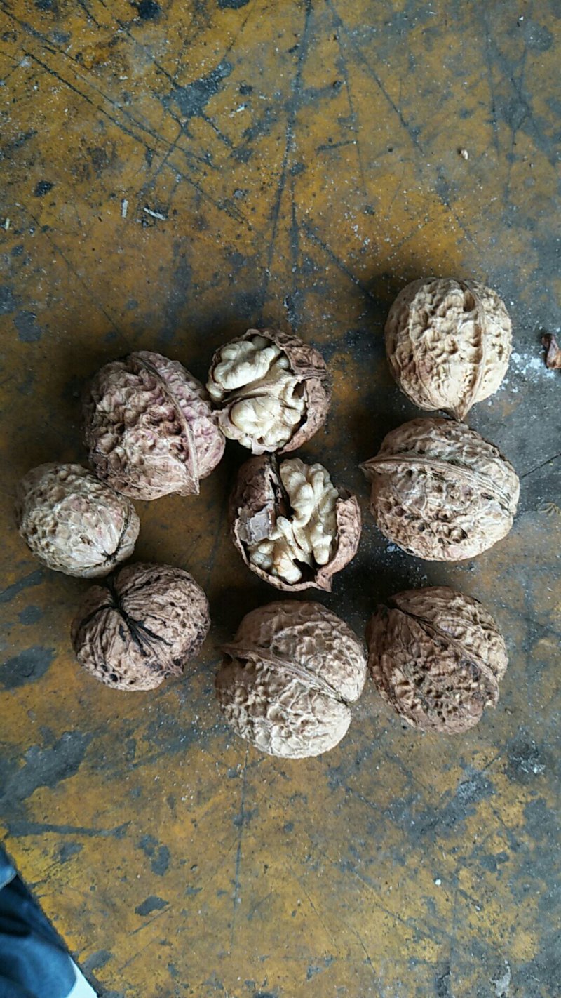 云南大理漾濞核大泡核桃