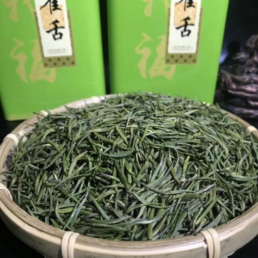 雀舌