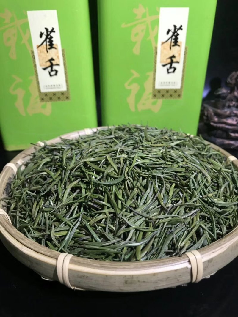 雀舌