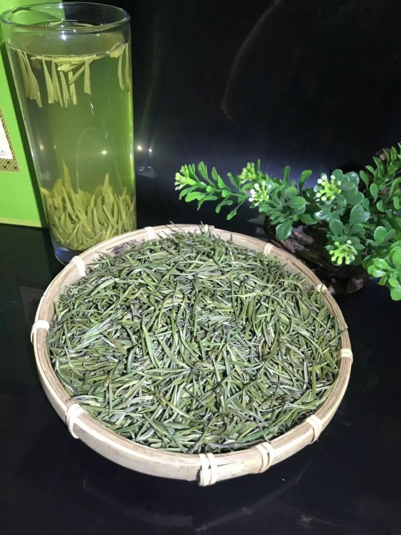 雀舌