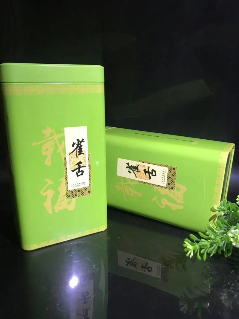 雀舌