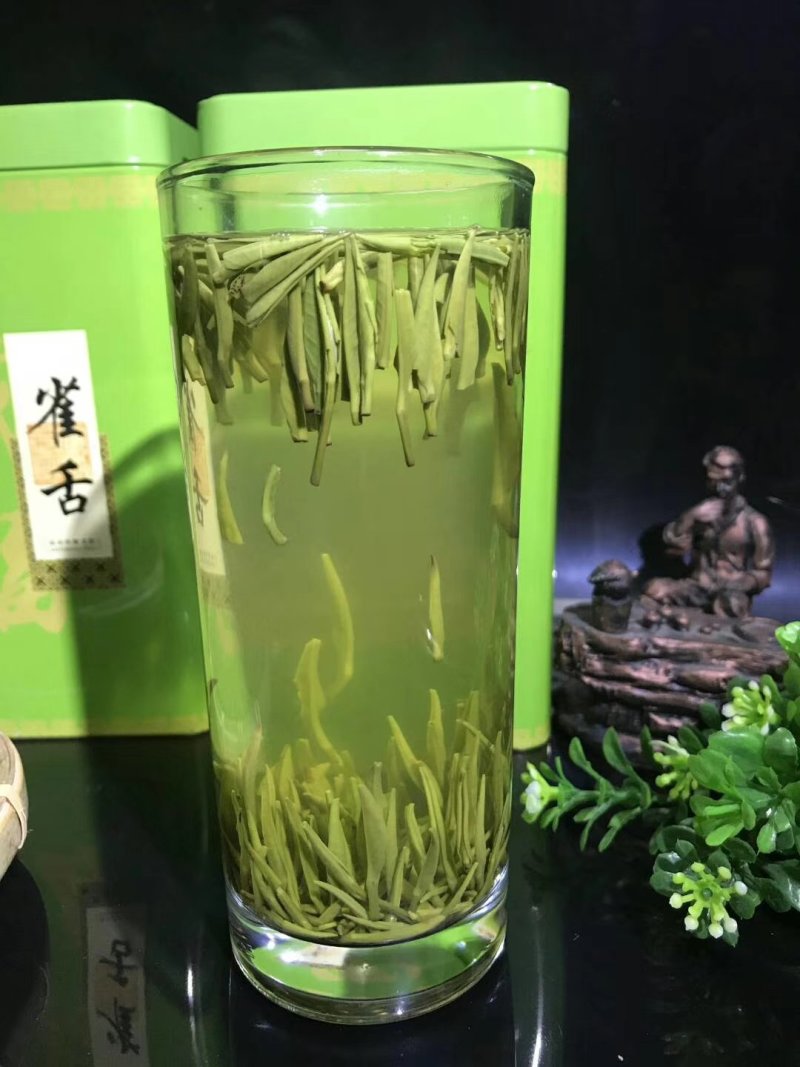 雀舌