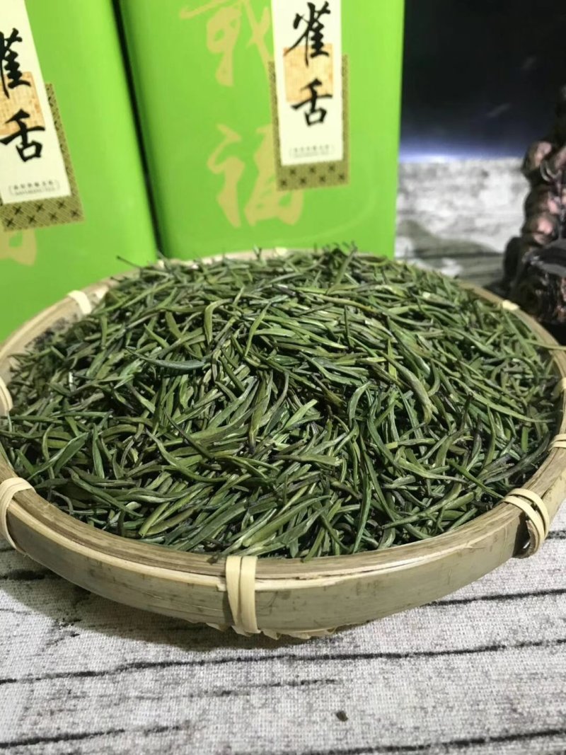 雀舌