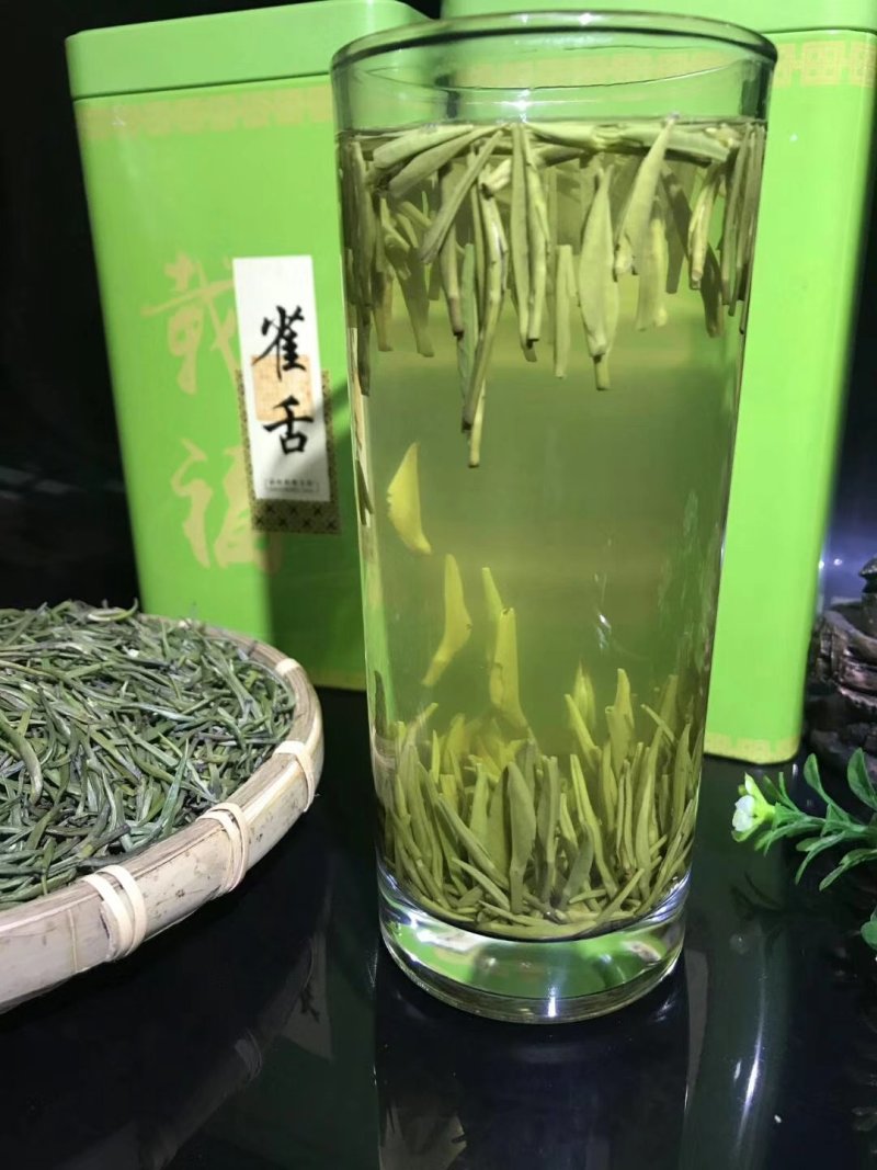 雀舌