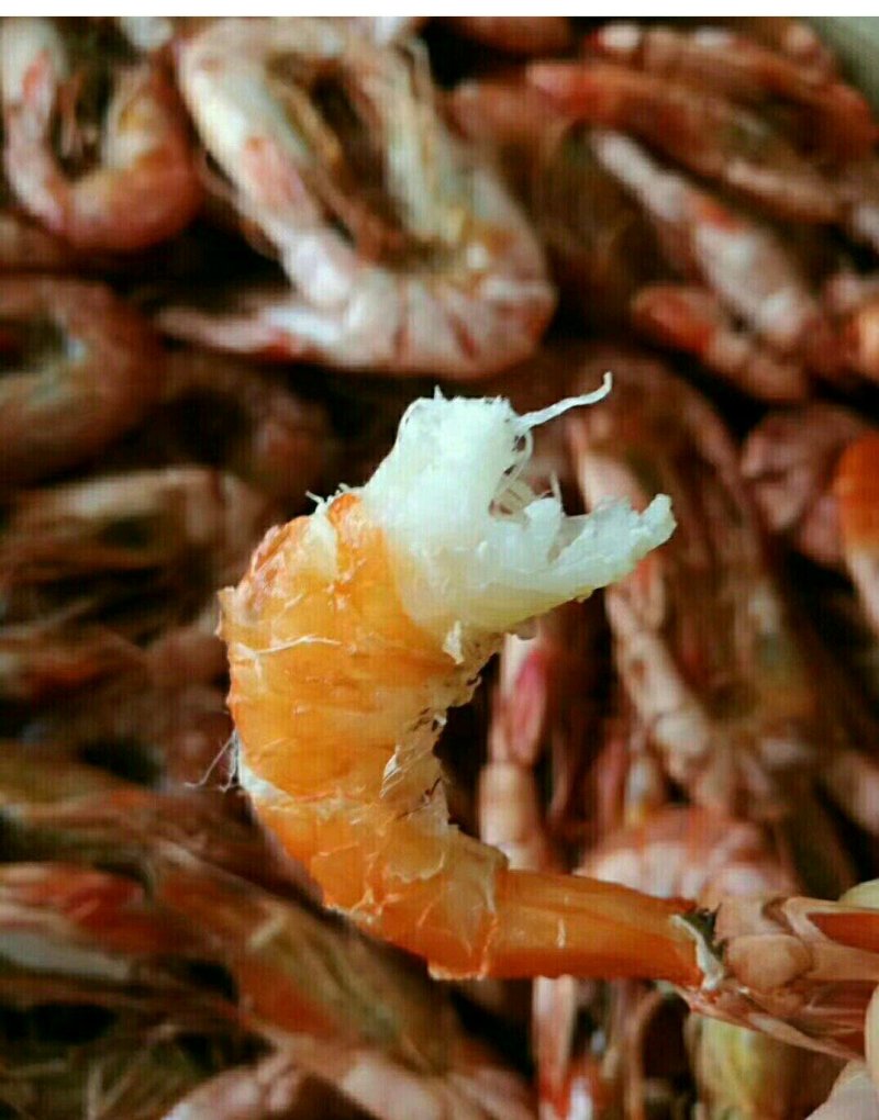 对虾干开袋即食50头1斤
