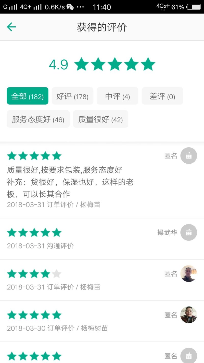 包邮乌梅孛荠黑炭杨梅树苗，提供技术支持量大从优