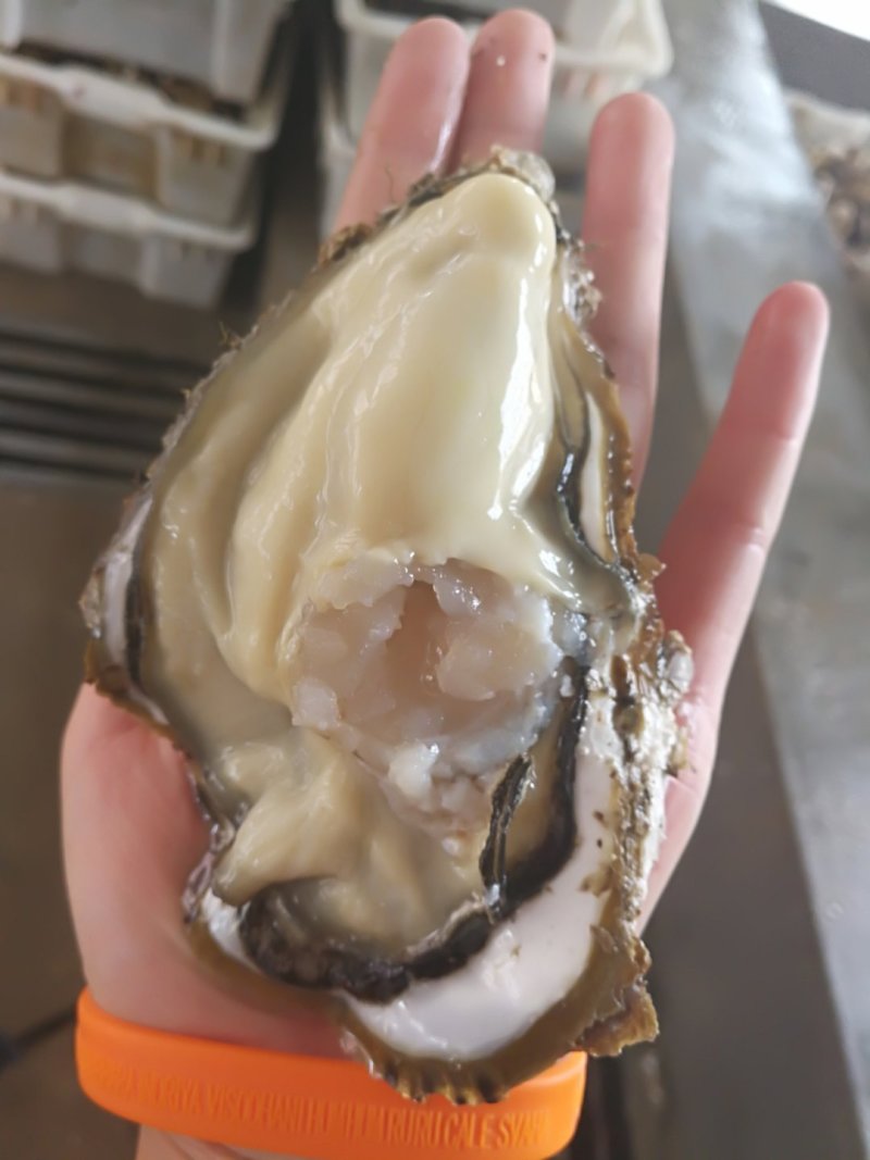 正宗乳山生蚝，男人加油站，女人的美容院