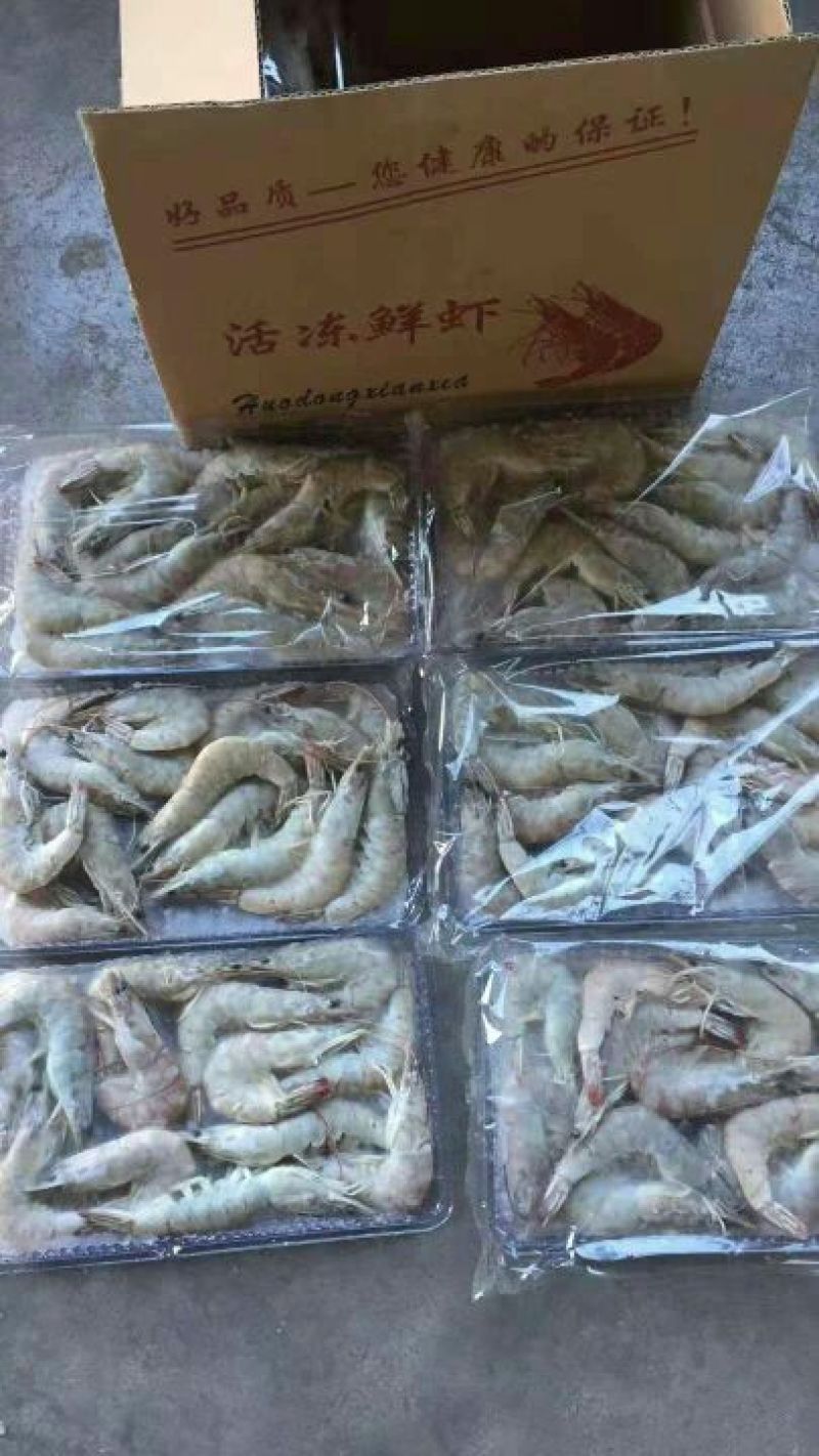 南美大虾