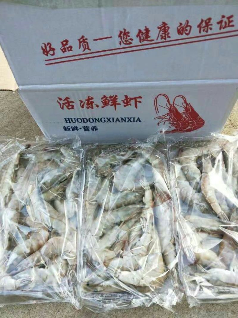 南美大虾