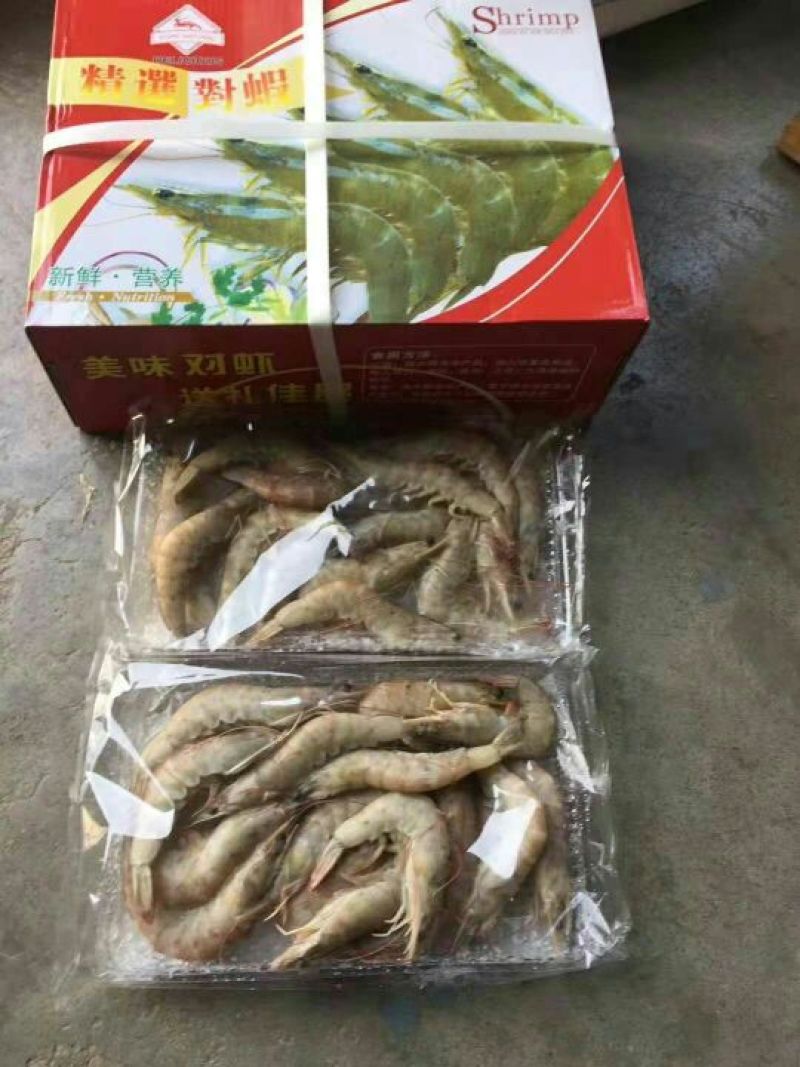 南美大虾