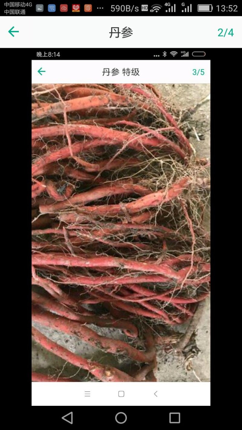 供应丹参，现场出货。