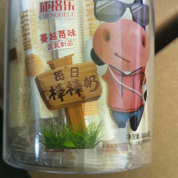 正宗内蒙奶制品