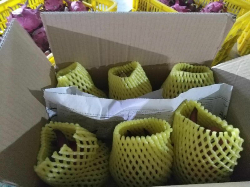 金都一号火龙果，一件代发，批发，落地配代办