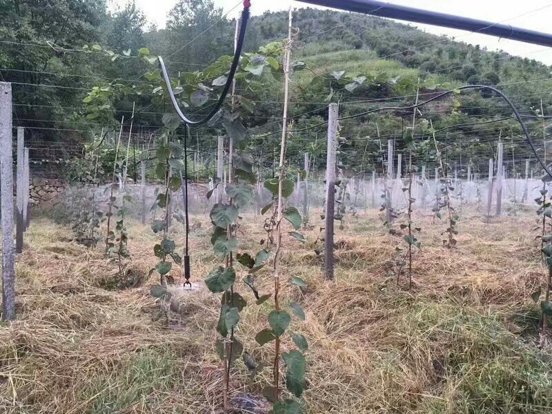 吊挂微喷