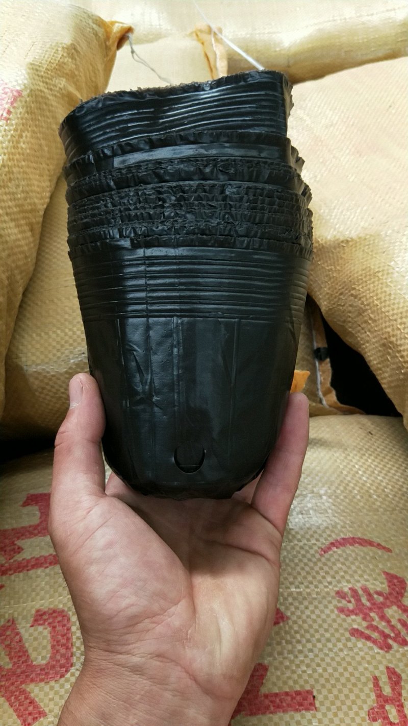 厂家直销各种规格营养杯