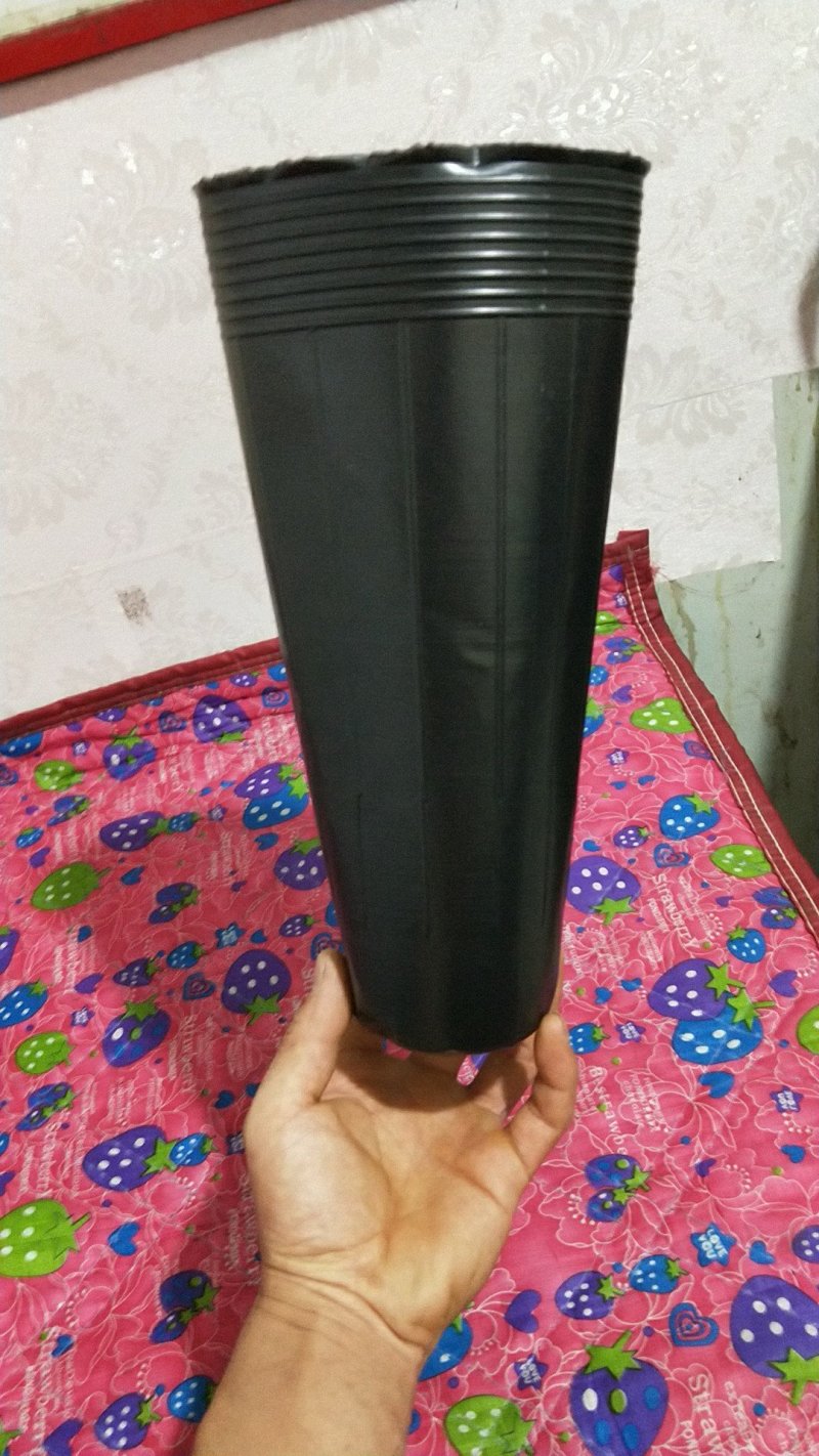 厂家直销各种规格营养杯
