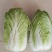 玲珑黄大白菜，4，5，6斤品质好无虫眼心黄叶绿