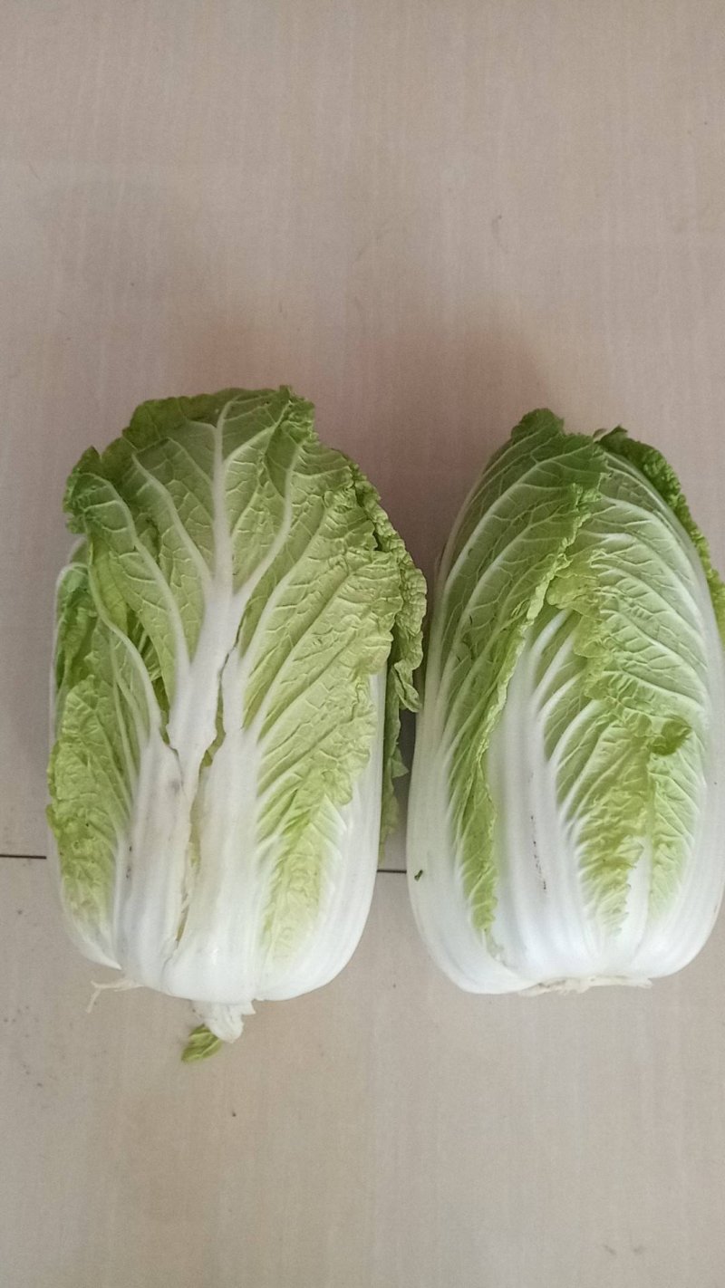 玲珑黄大白菜，4，5，6斤品质好无虫眼心黄叶绿