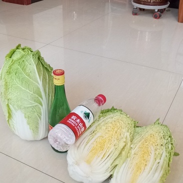 玲珑黄大白菜，4，5，6斤品质好无虫眼心黄叶绿