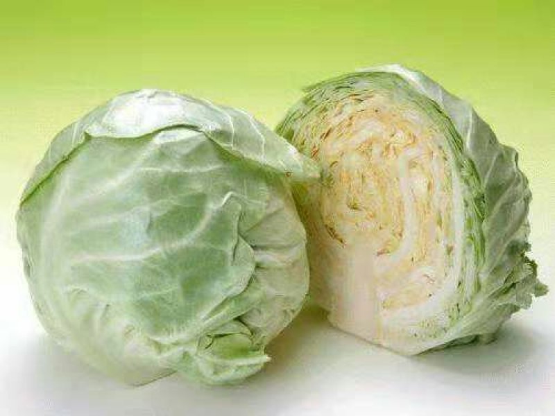 甘蓝