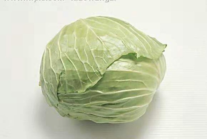 甘蓝