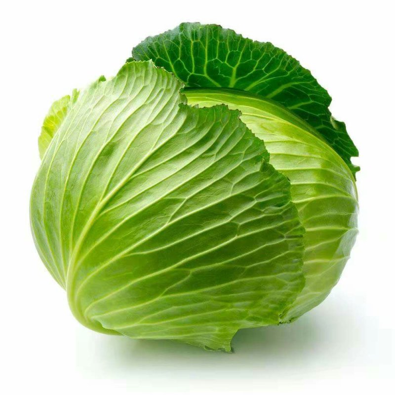 甘蓝