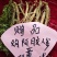 阿胶人参膏