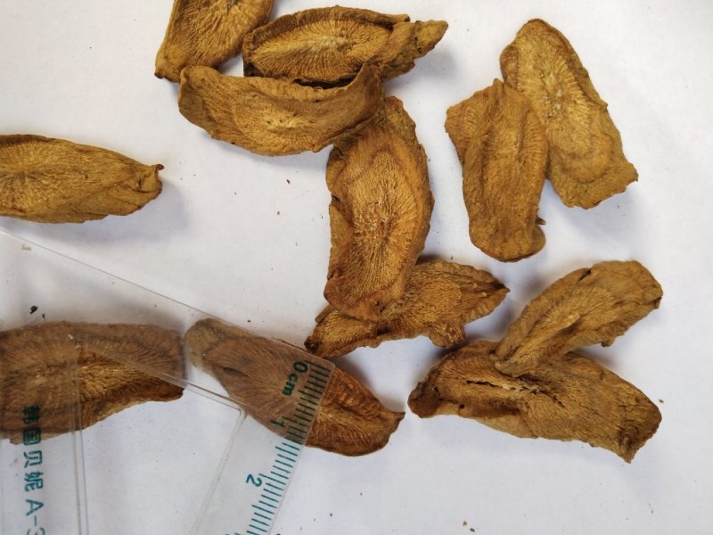 牛蒡，兰陵牛蒡，各规格，量大，产地直销