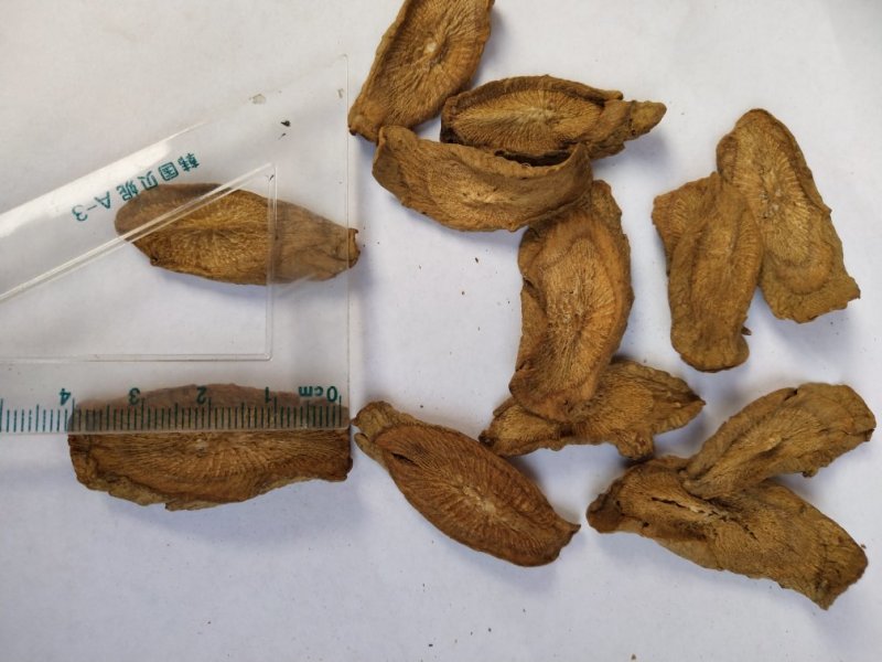牛蒡，兰陵牛蒡，各规格，量大，产地直销