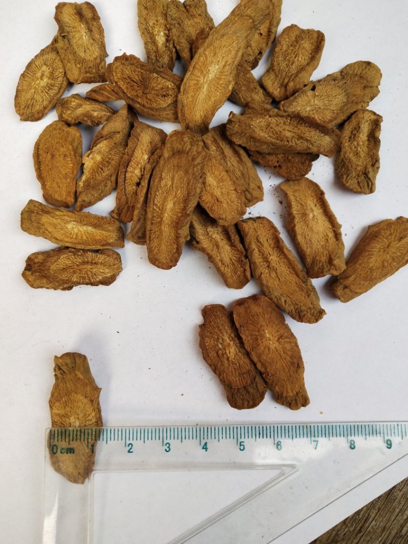 牛蒡，兰陵牛蒡，各规格，量大，产地直销