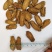 牛蒡，兰陵牛蒡，各规格，量大，产地直销