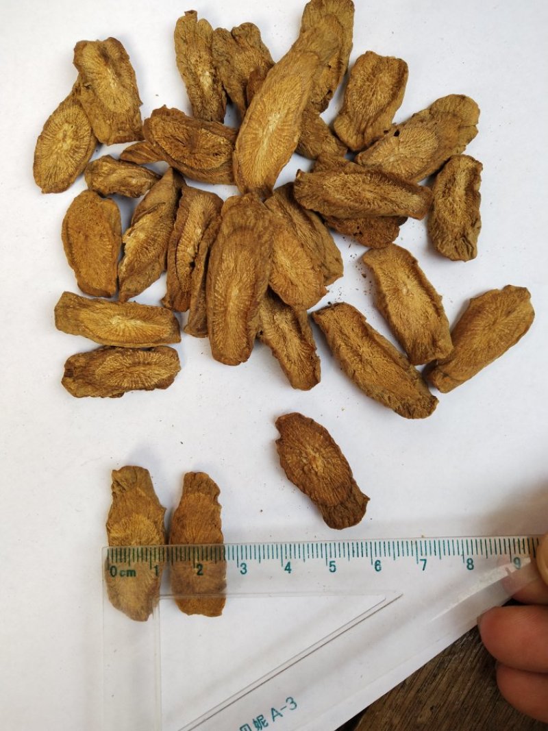 牛蒡，兰陵牛蒡，各规格，量大，产地直销