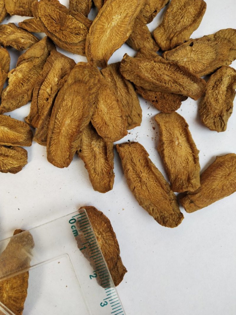 牛蒡，兰陵牛蒡，各规格，量大，产地直销