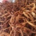 庆阳黄花菜农家自产无添加2018年新货金针菜500g