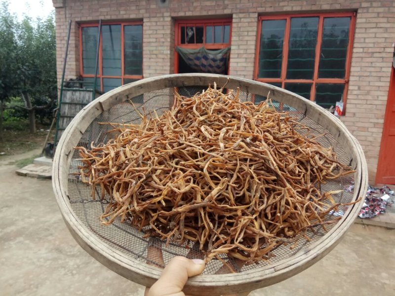 庆阳黄花菜农家自产无添加2018年新货金针菜500g