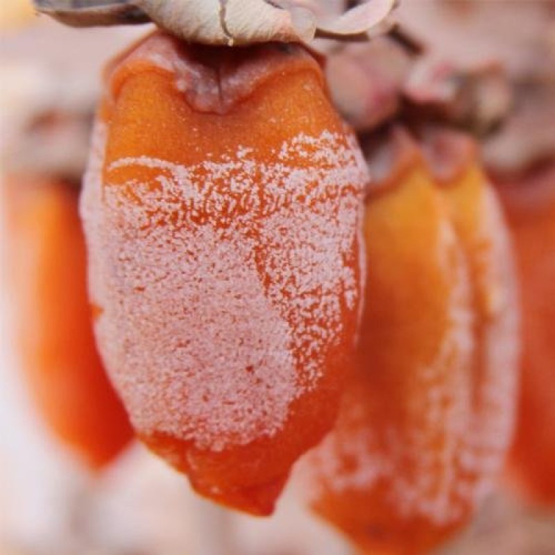 桂林柿饼辣椒饼吊饼