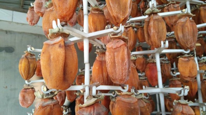 桂林柿饼辣椒饼吊饼